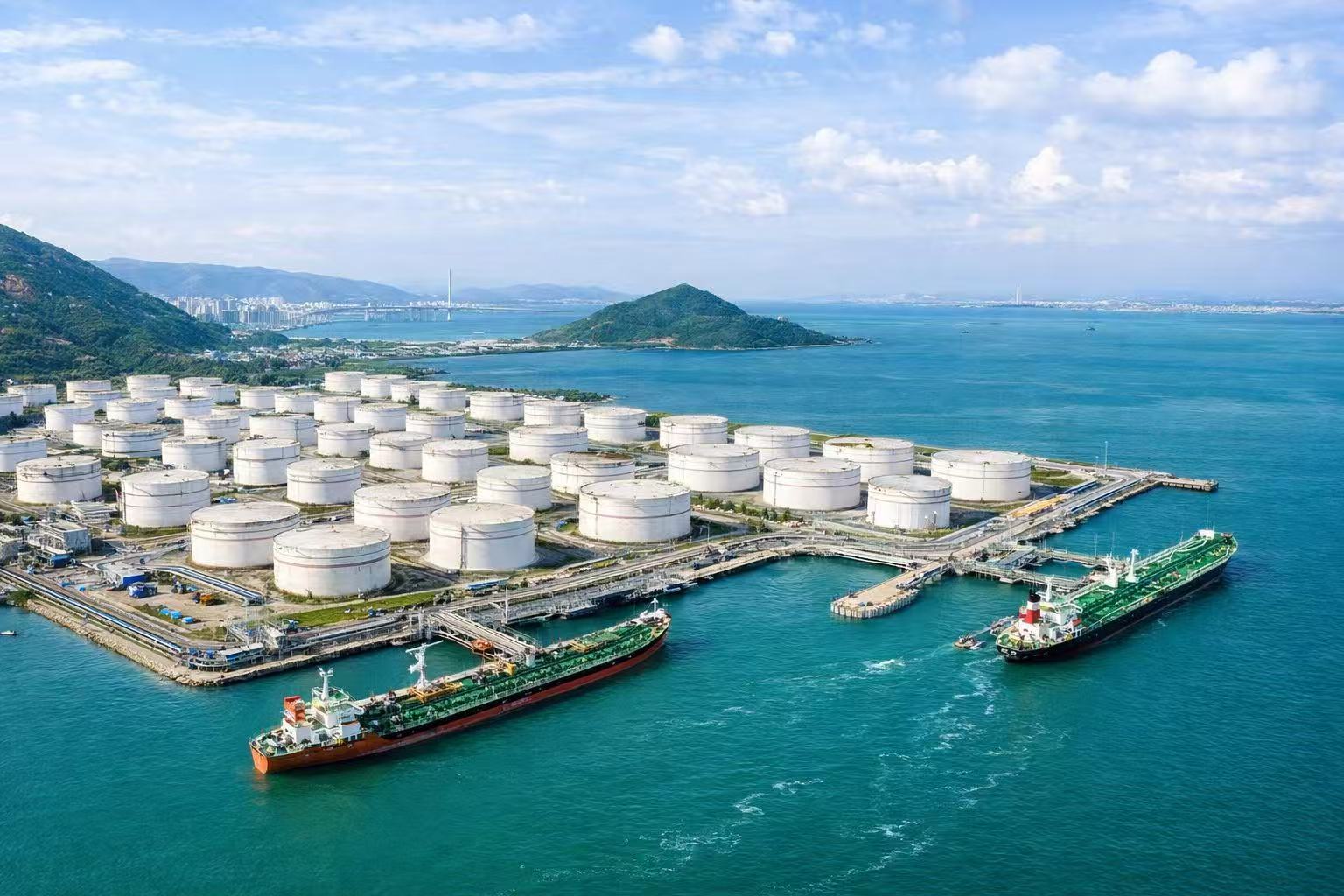 Proceed to the Next Steps