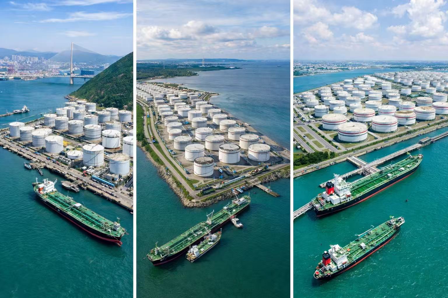 Proceed to the Next Steps